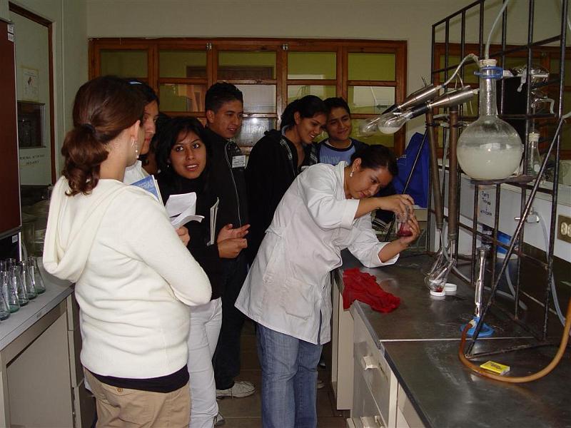 DSC02325 (Large).JPG